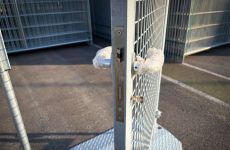 Bouwhek Poort | inzicht in slotkas